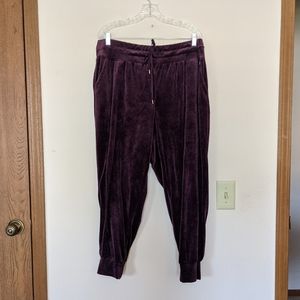 Lane Bryant | LIVI Velour Jogger - Plum